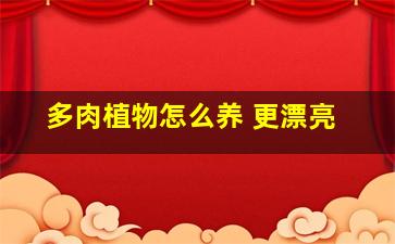 多肉植物怎么养 更漂亮